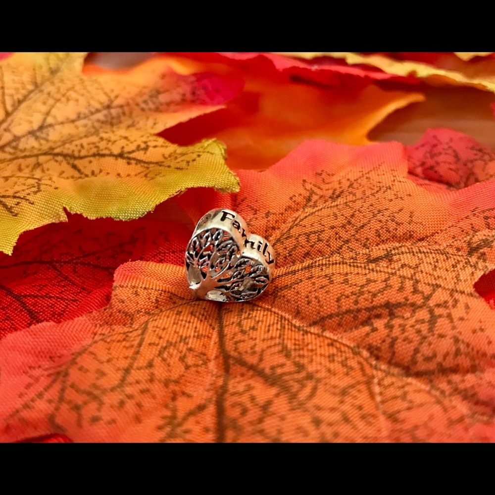 Kohl’s Heart Family Roots Charm